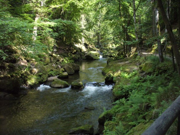 Kamenice
